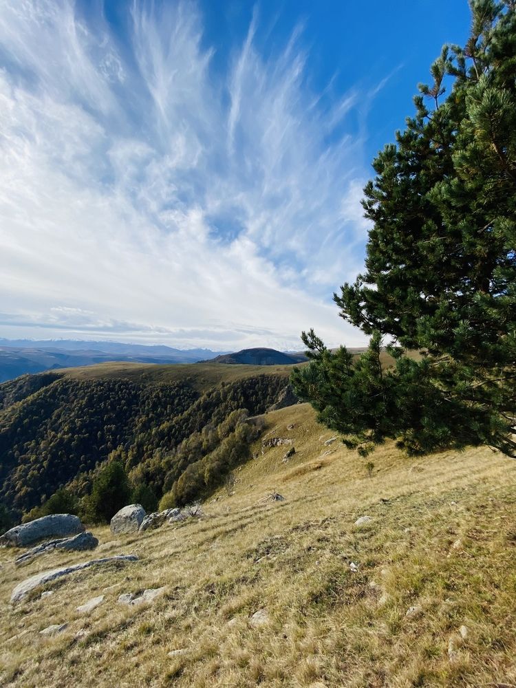 Photograph by Анна Соколова