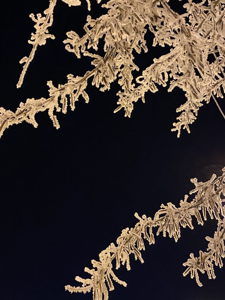 Photograph by Анна Соколова