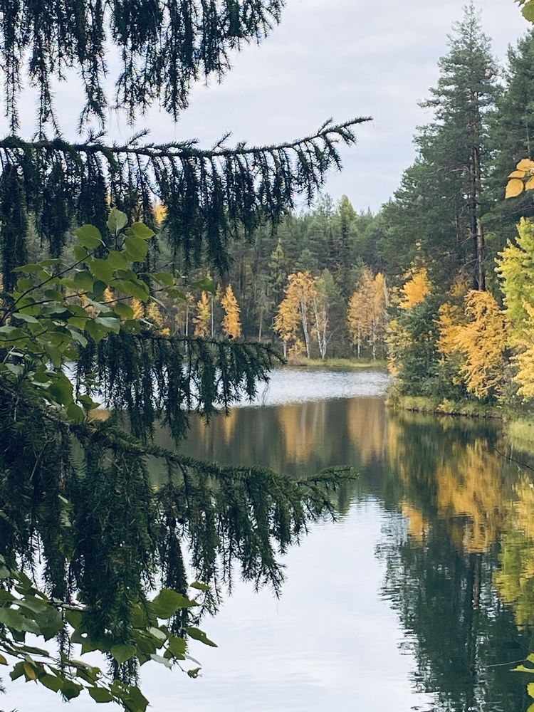 Photograph by Анна Соколова