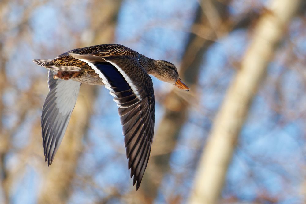 Photograph by Вячеслав Орос