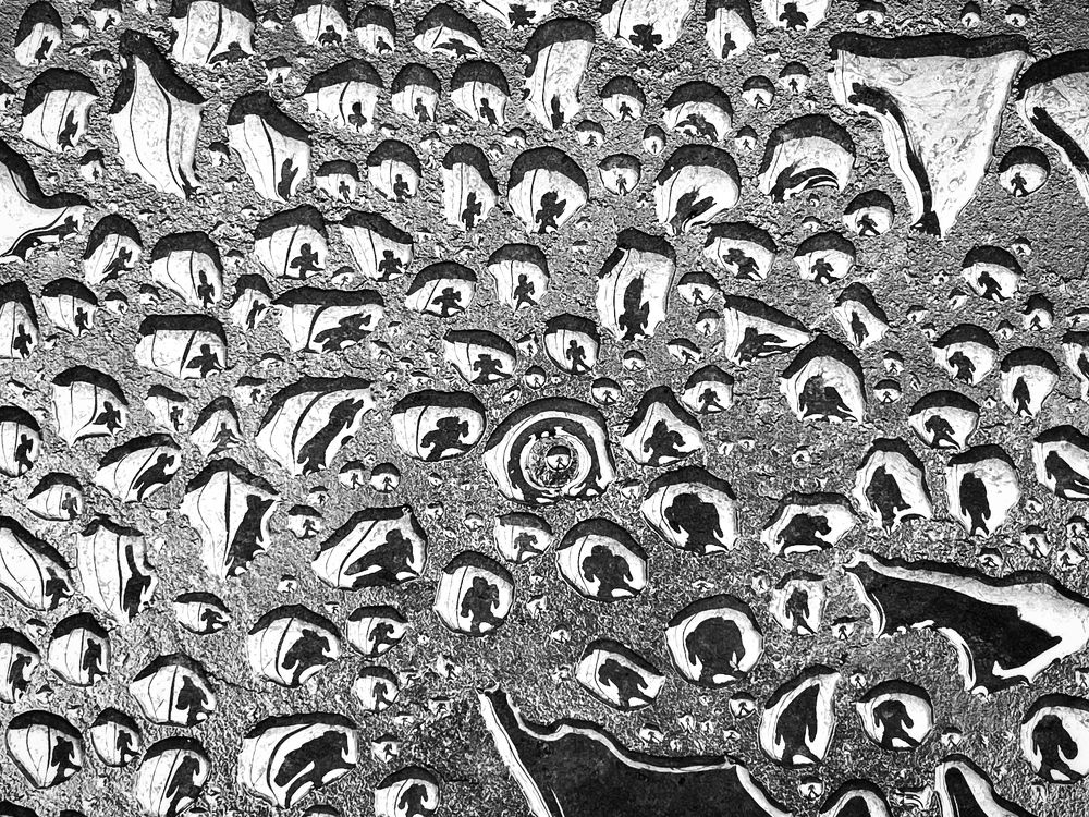 Photograph by priyank panchani