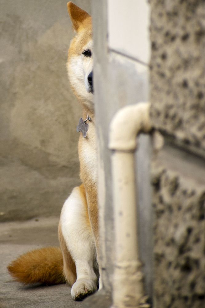 Photograph by SIMONE CIULLI