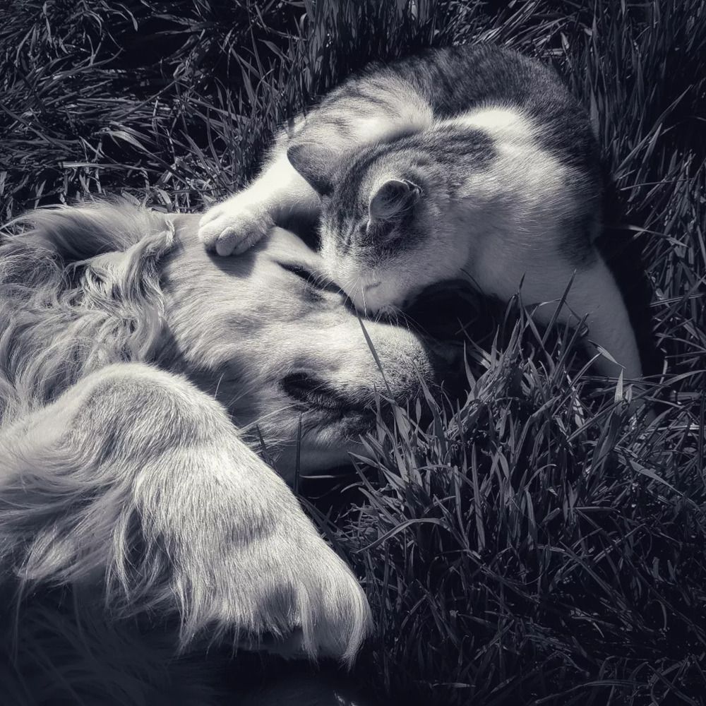 Photograph by Елена