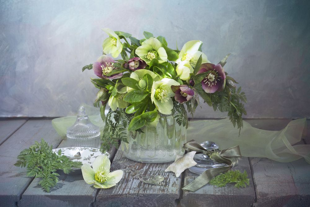 Морозники....