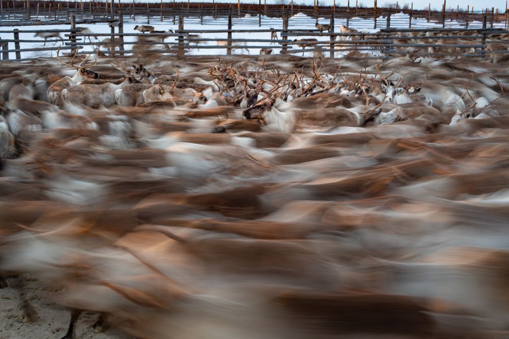 Photograph by Елена Ермолина