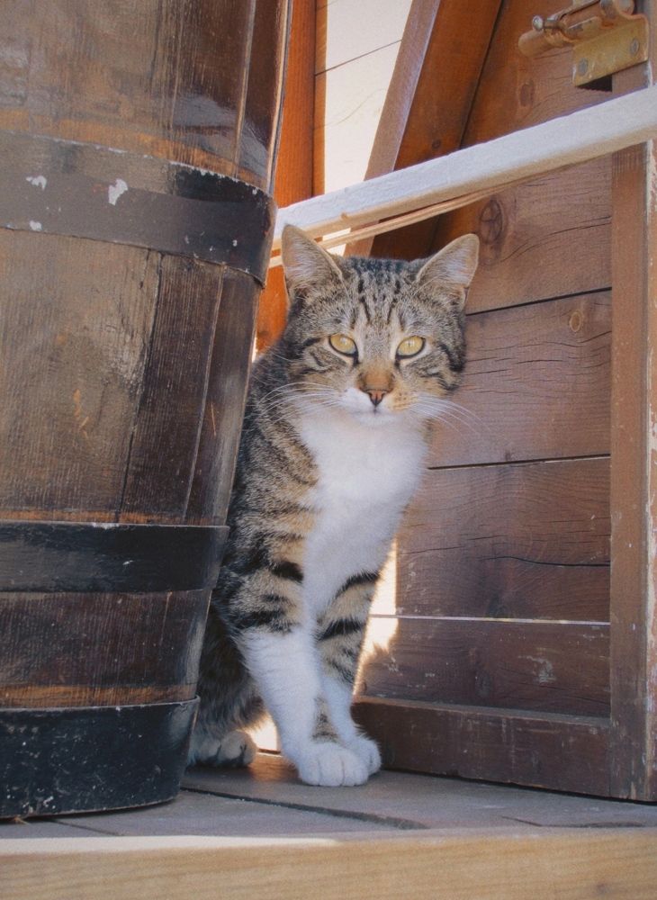 Photograph by Дарья Малиновская