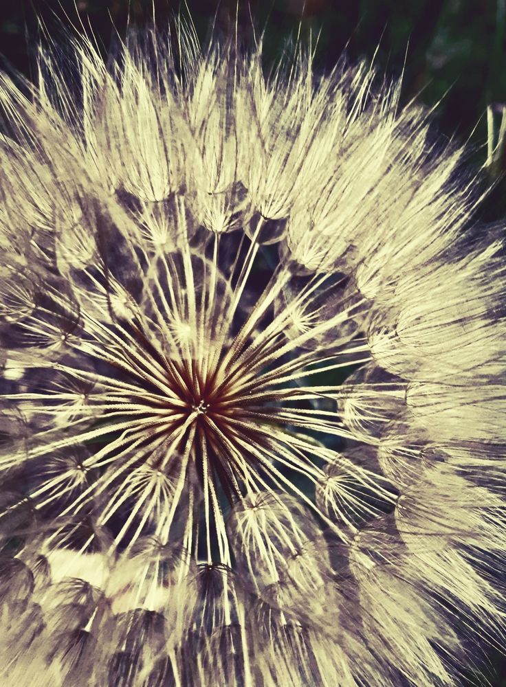 Photograph by Ольга Александрова