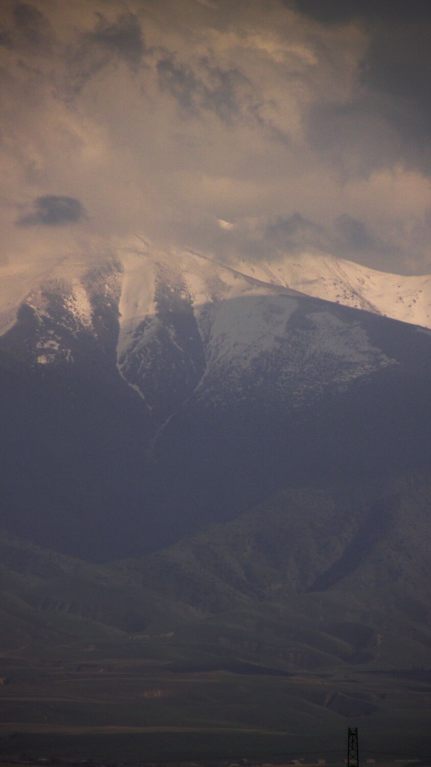 Photo #9030942