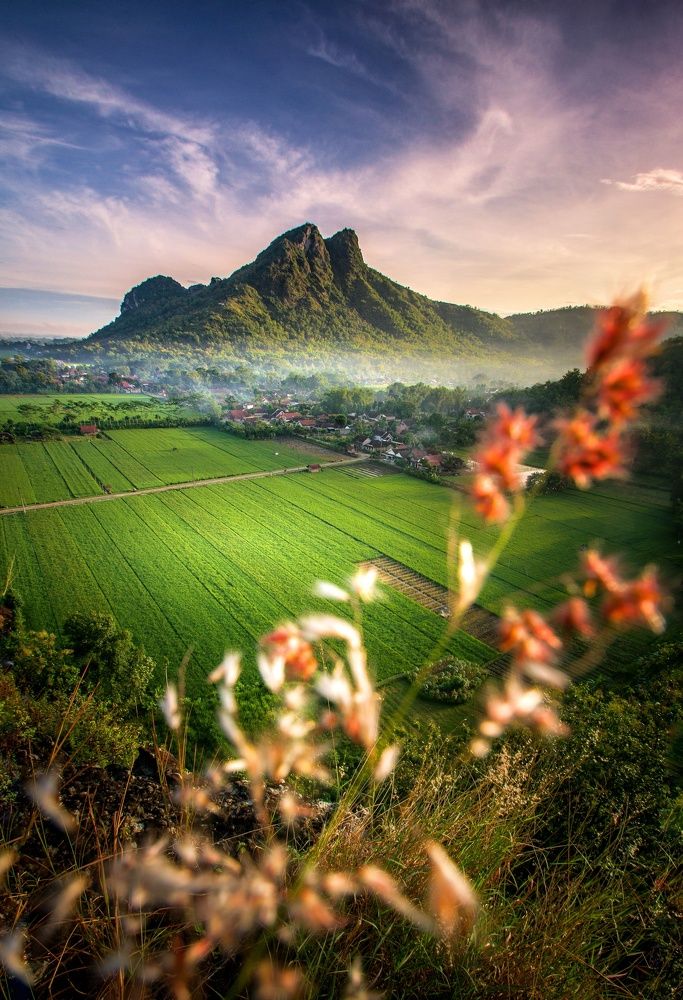 Photograph by M Sairoji Abdillah