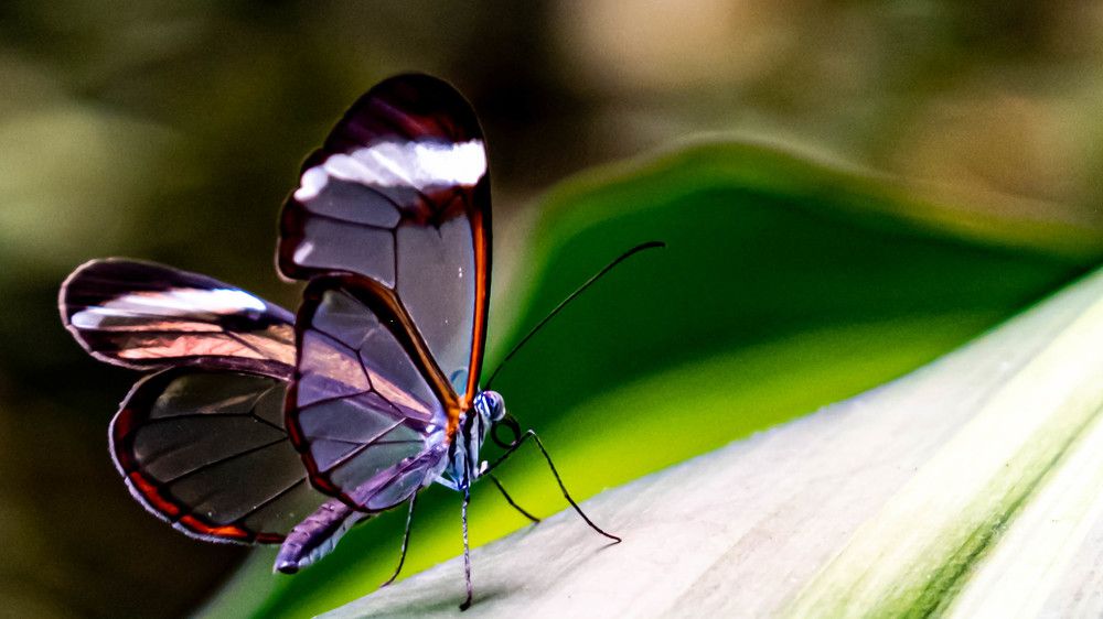 Photograph by Shubham Gupta