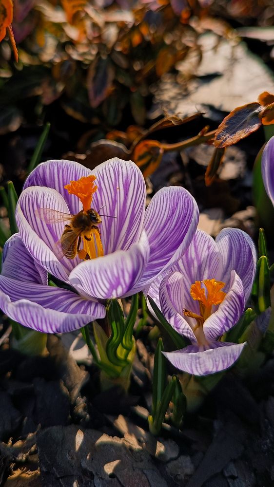 Photograph by Kate Hondochka