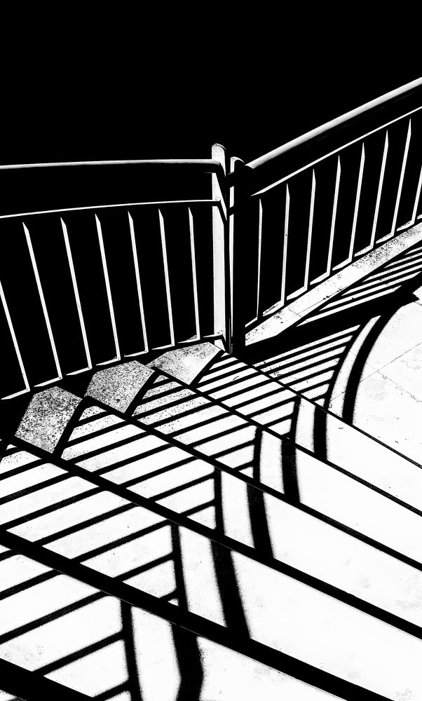 Photograph by Jose Carvalho