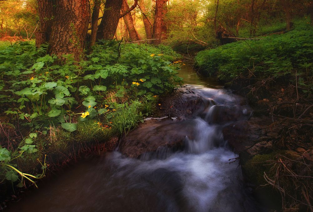 Photograph by Владимир