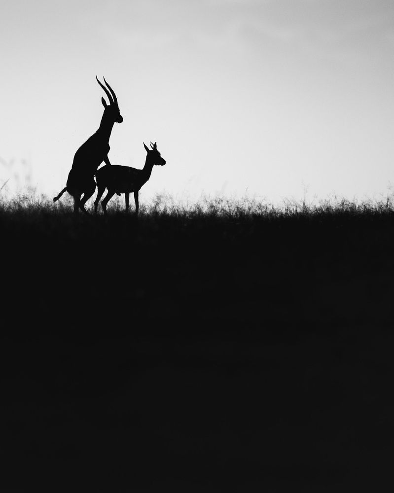 Photograph by Anirudh Vidyabhushan