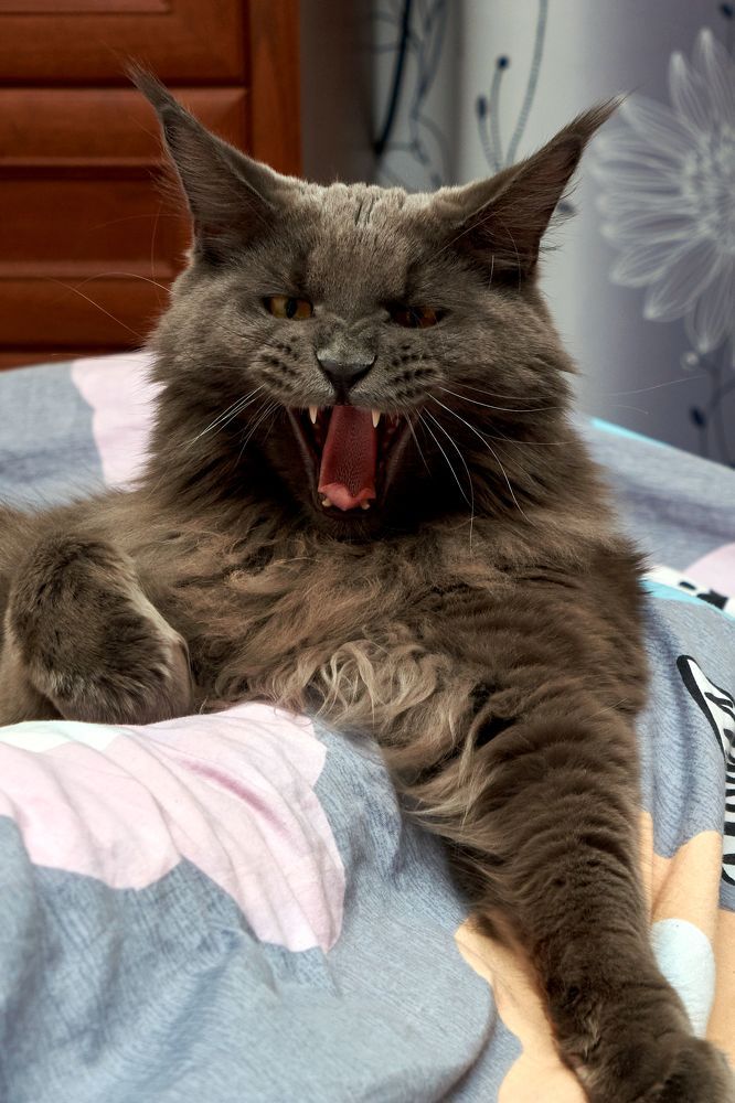 Photograph by Dmitrij Zykunov