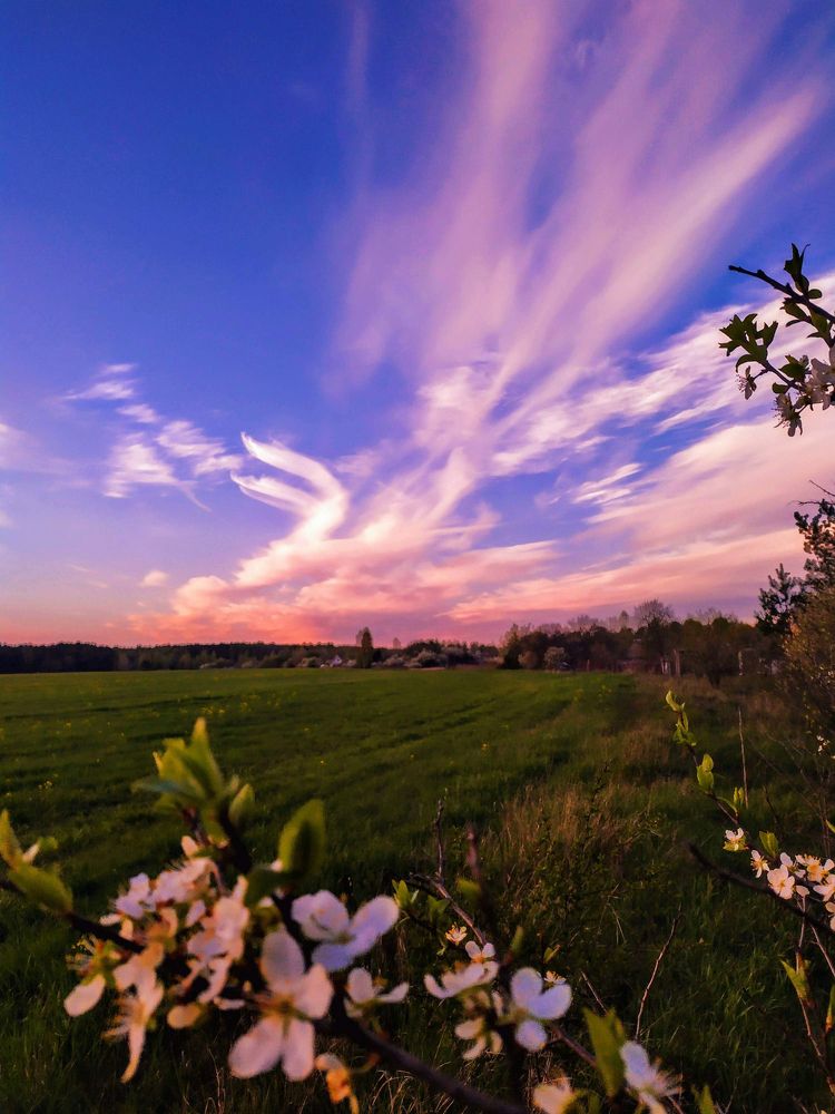 Photograph by Ирина Леончик