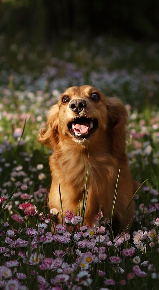 Фотография автора Наталья Смекалина