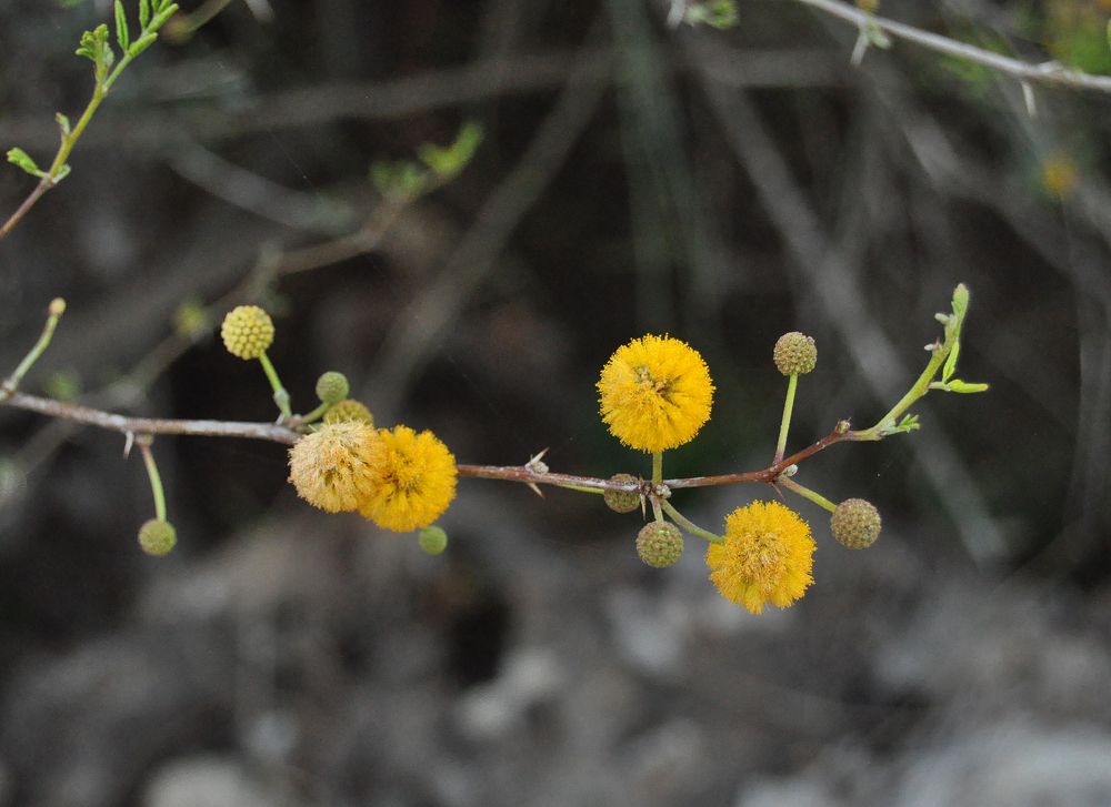 Photograph by Яков