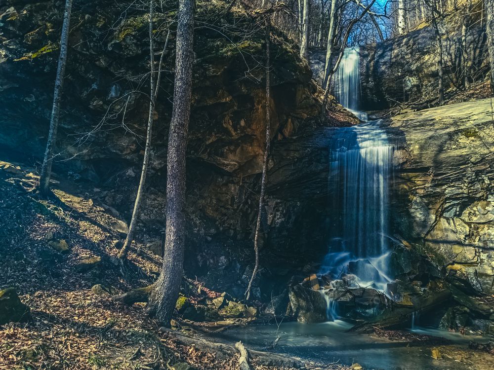 Фотография автора OXANA MARSOVA