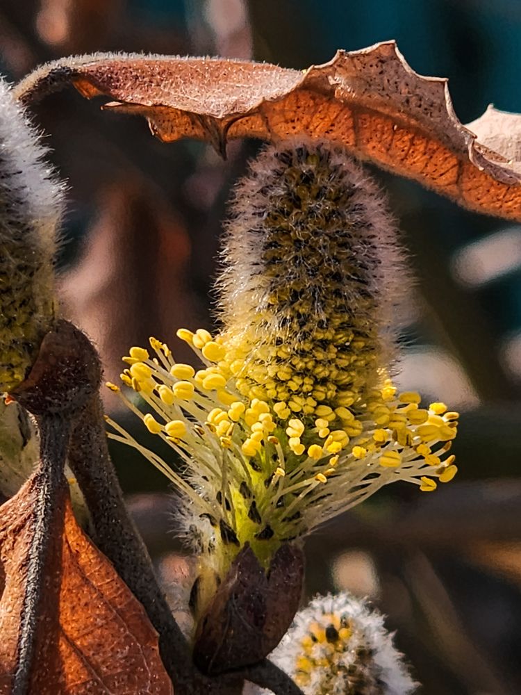 Photograph by Наталья Ким