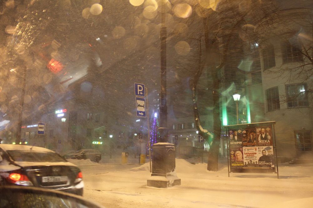 Фотография автора Анастасия Зверева