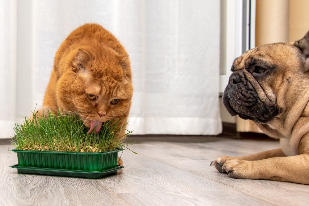 Photograph by Кадырова Марина