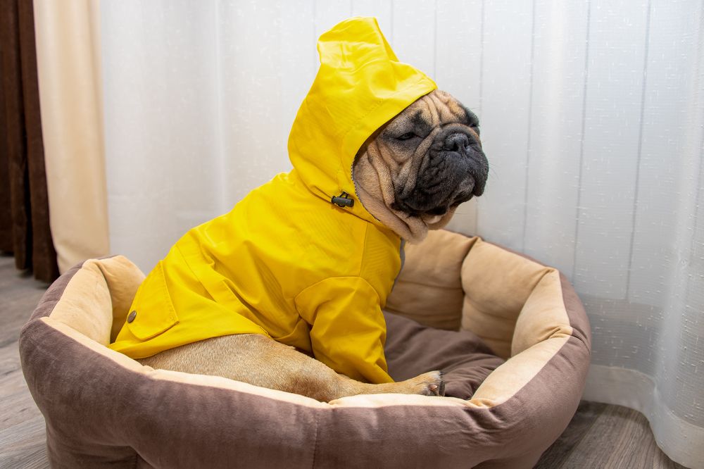 Photograph by Кадырова Марина