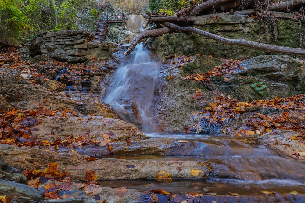 Photograph by Олег Башкуров