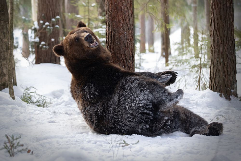 Photograph by Светлана Писарева