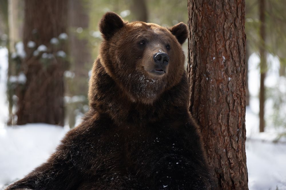 Photograph by Светлана Писарева