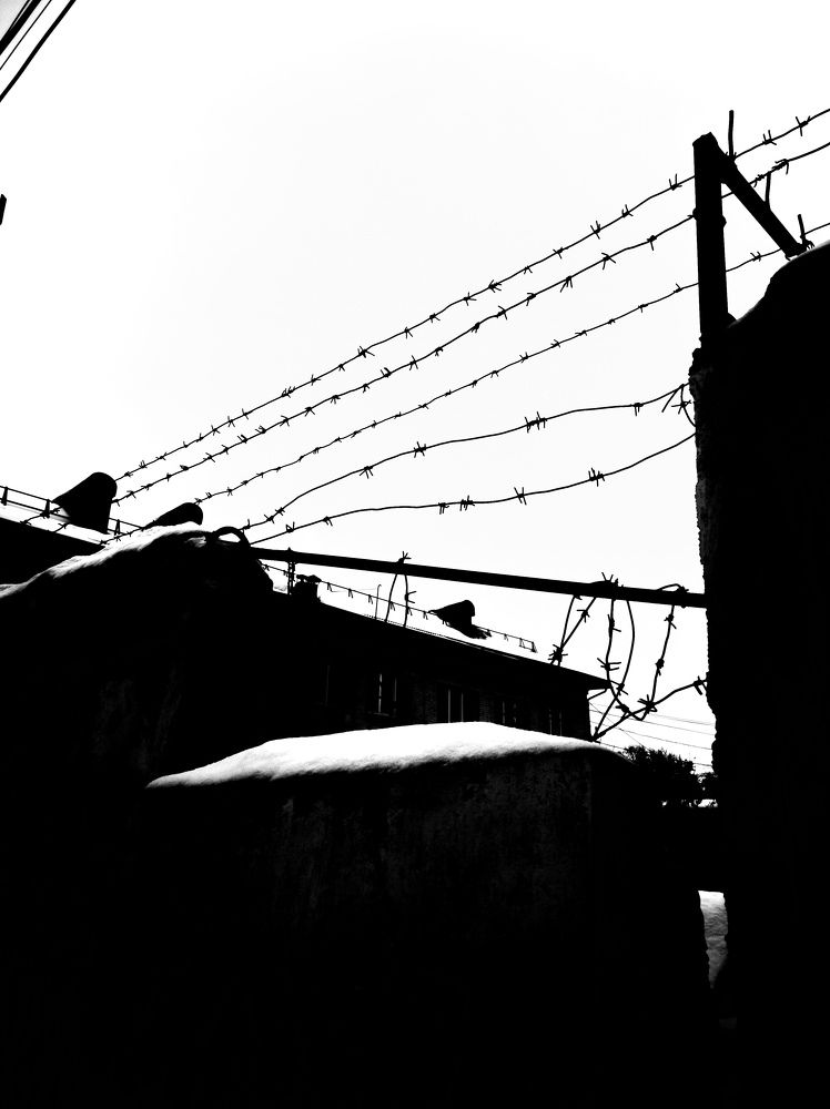 Фотография автора олег романов