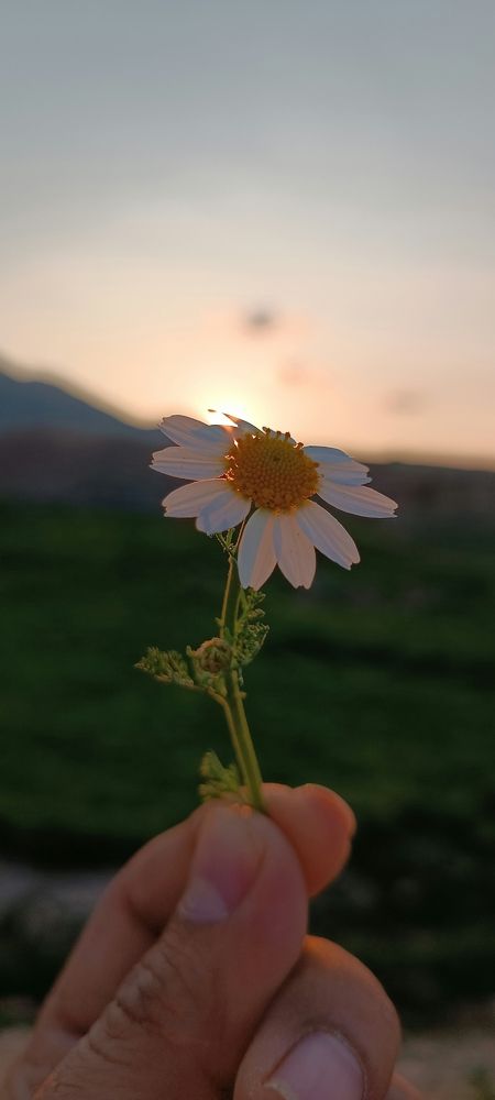 Фотография автора Bahaaddin Saber