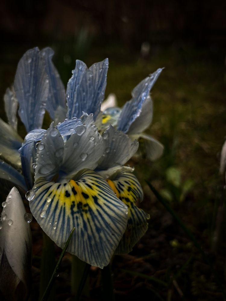 Photograph by Сидоренко Оксана