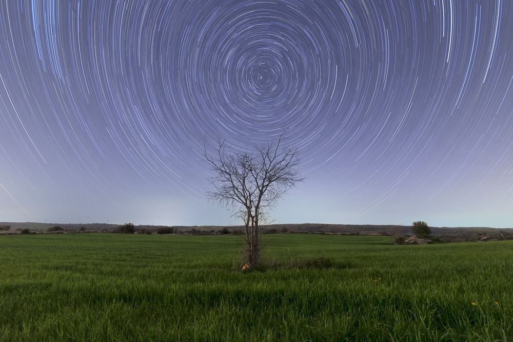 Photograph by Fabio Cartelli