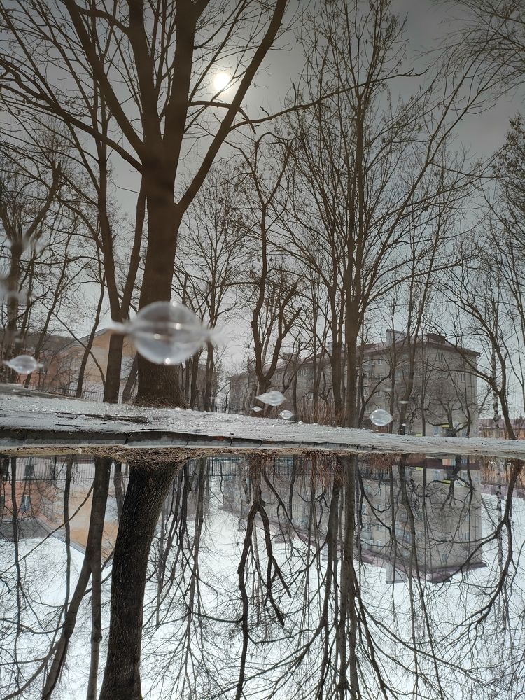 Photograph by Елена