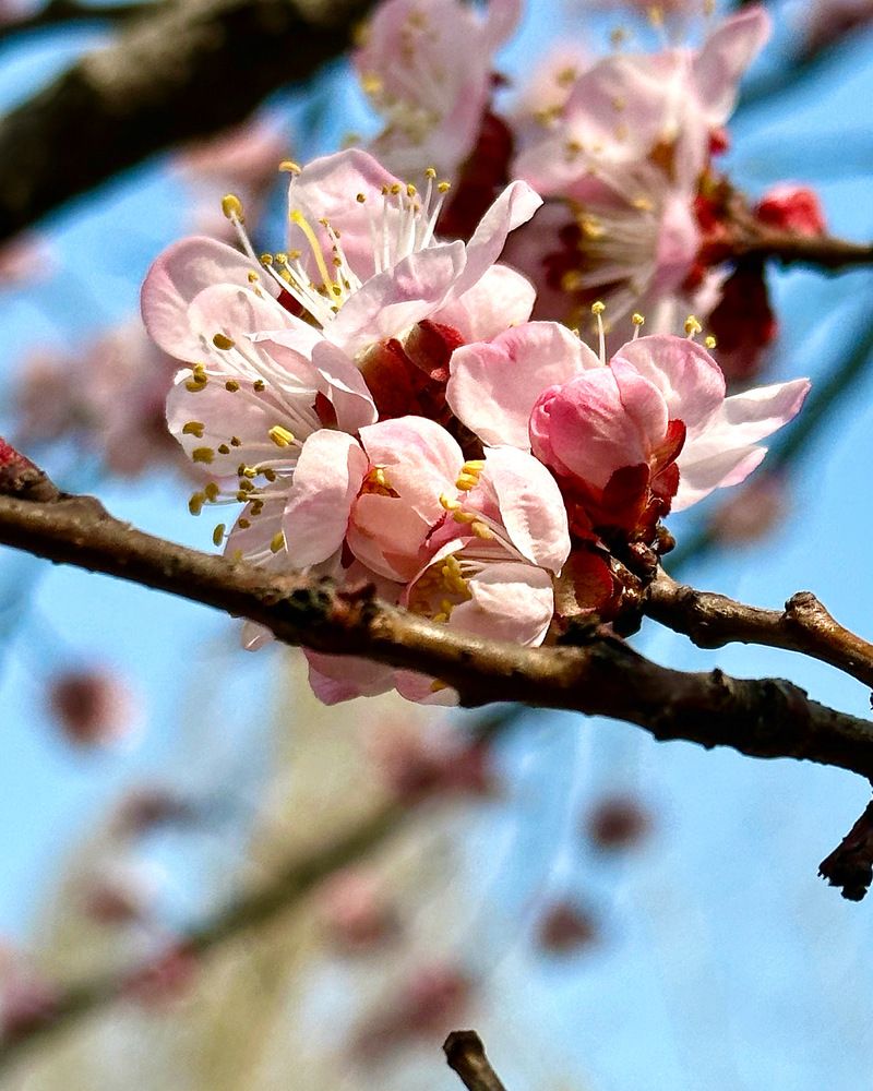 Фотография автора Алянур Юлдашева