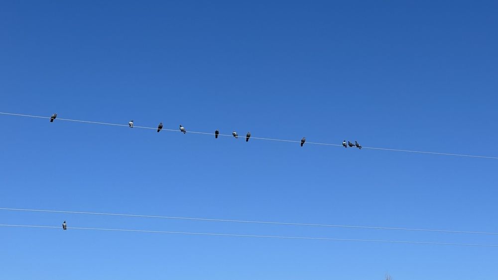 Фотография автора Алянур Юлдашева