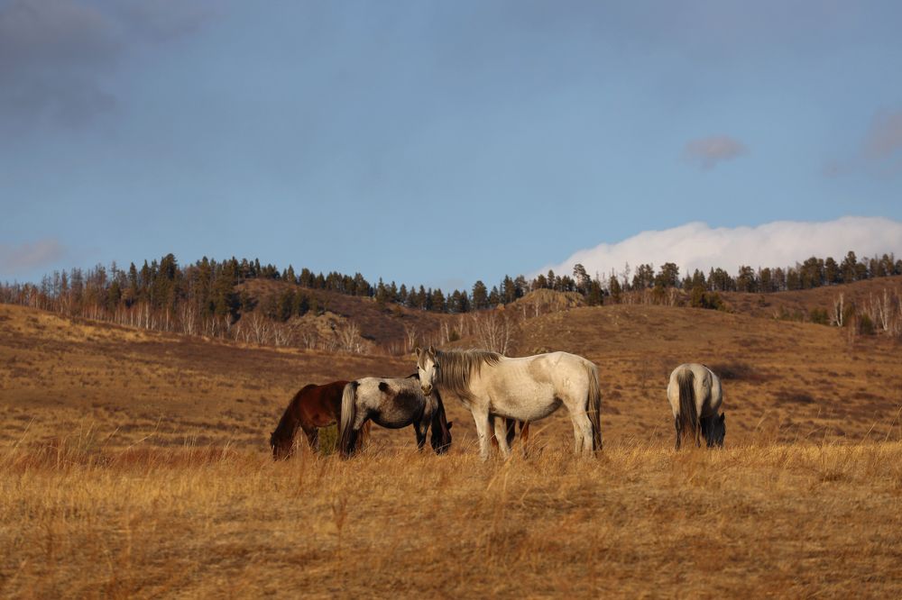 Photograph by Aleksey Maevskiy