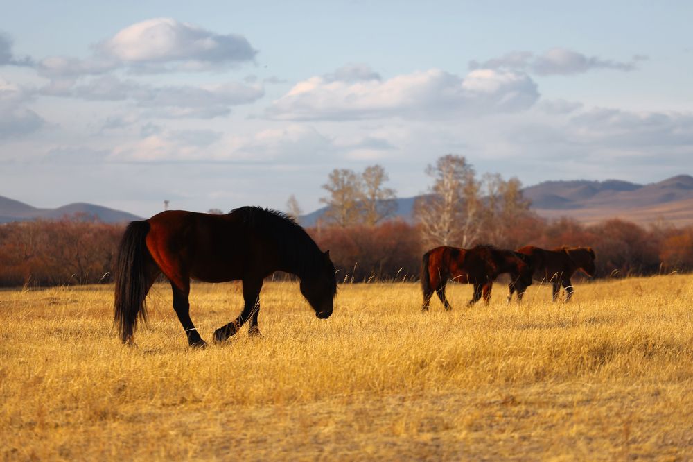 Photograph by Aleksey Maevskiy