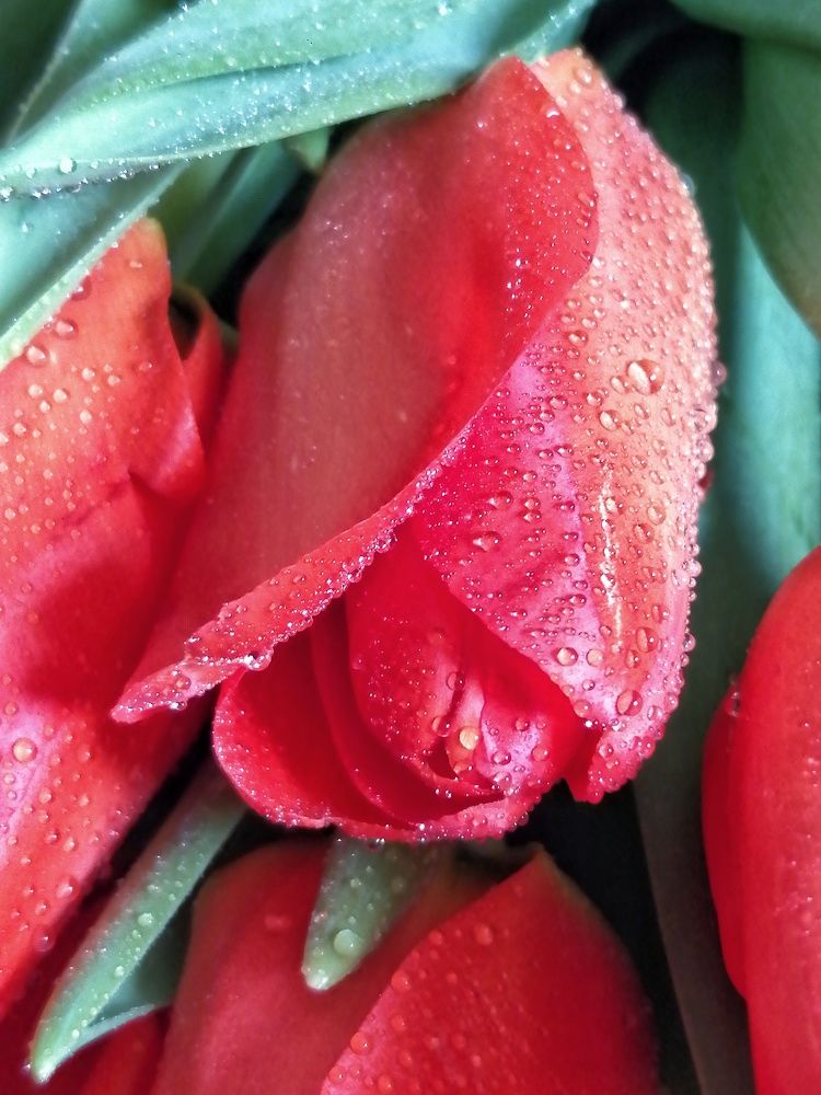 Фотография автора НАТАЛЬЯ СЕВЕР