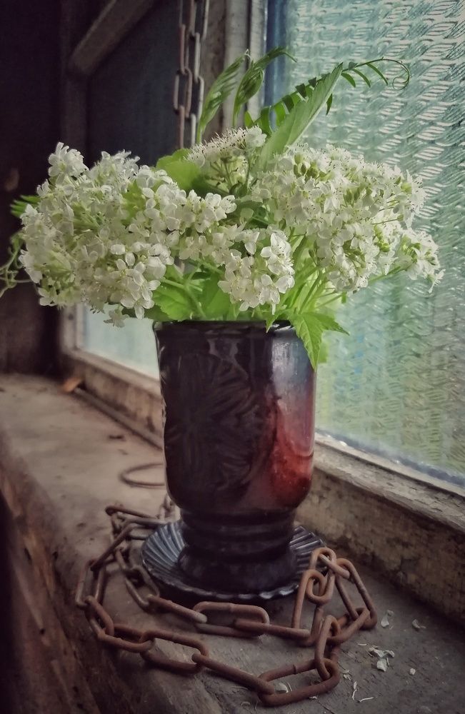 Фотография автора НАТАЛЬЯ СЕВЕР