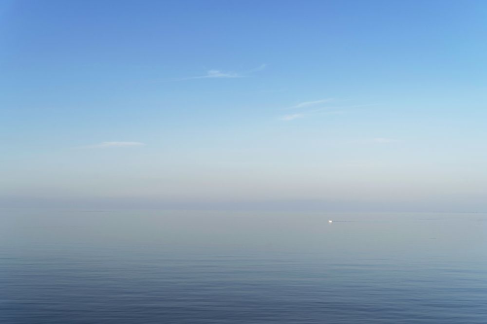 Photograph by косяк