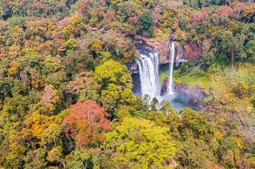 The colour of nature