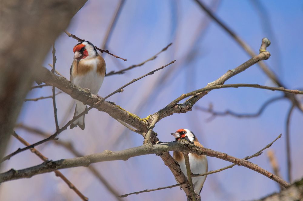 Photograph by Дарья Дрыночкина