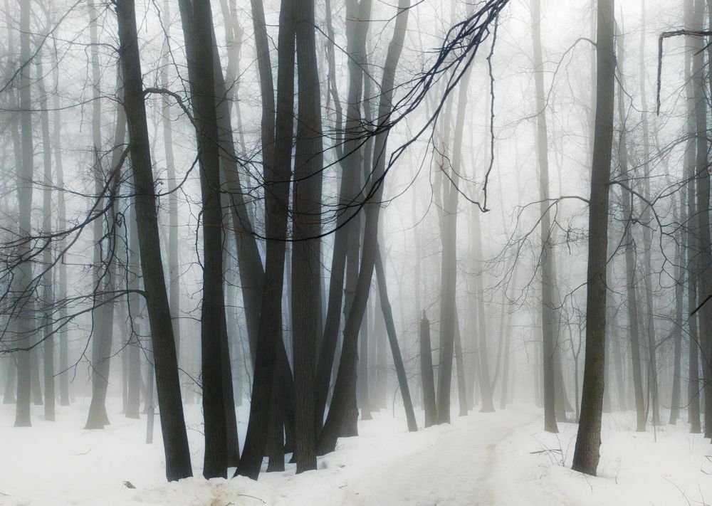 Фотография автора Александр Андреянов