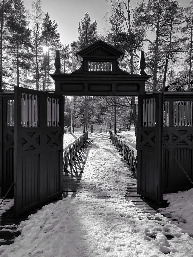 Photograph by Alexandra