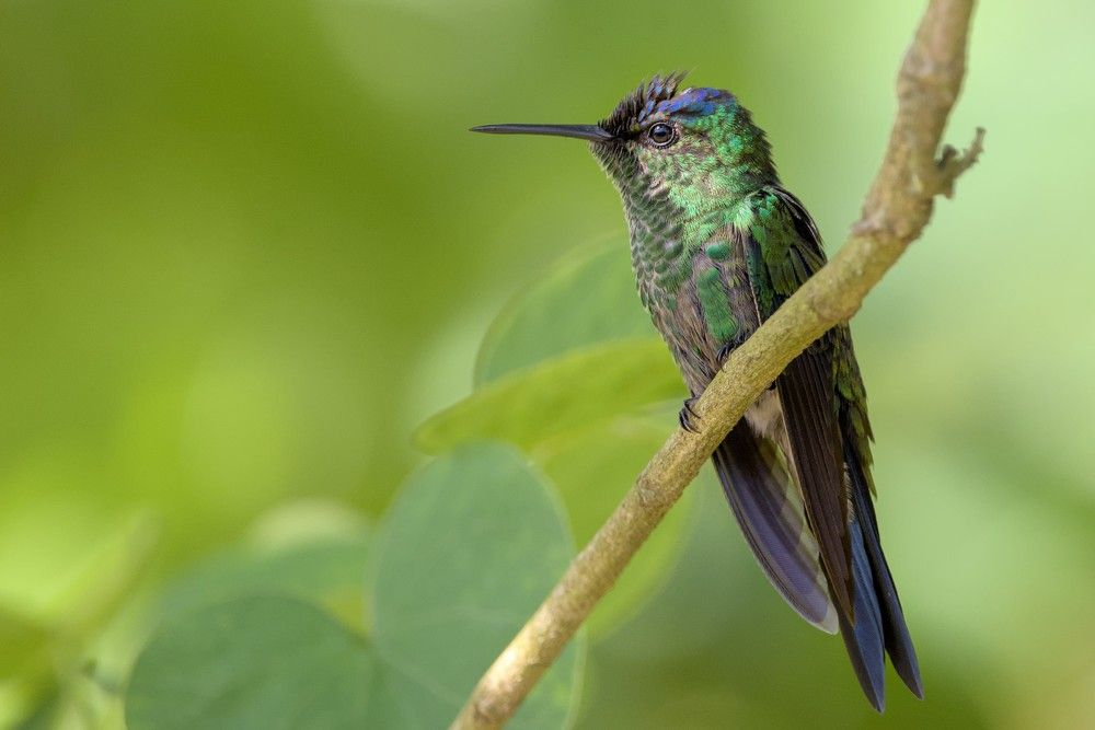 Photograph by Eduardo Bom