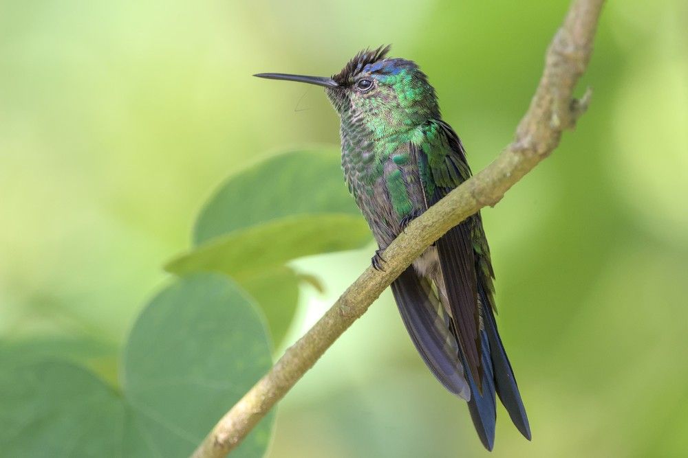 Photograph by Eduardo Bom