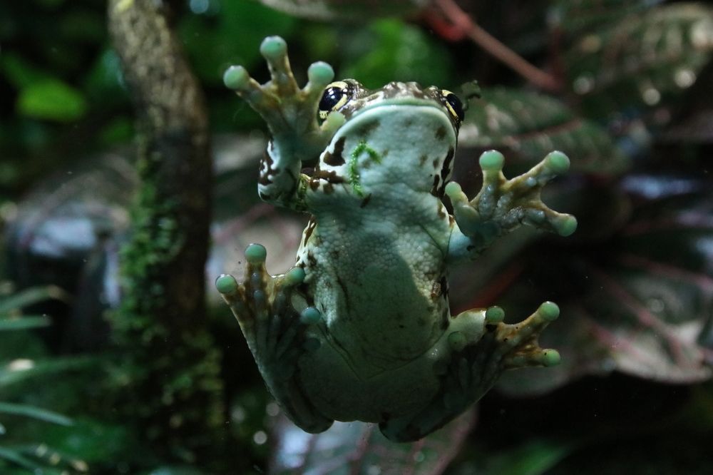 Photograph by Юрий Чистяков