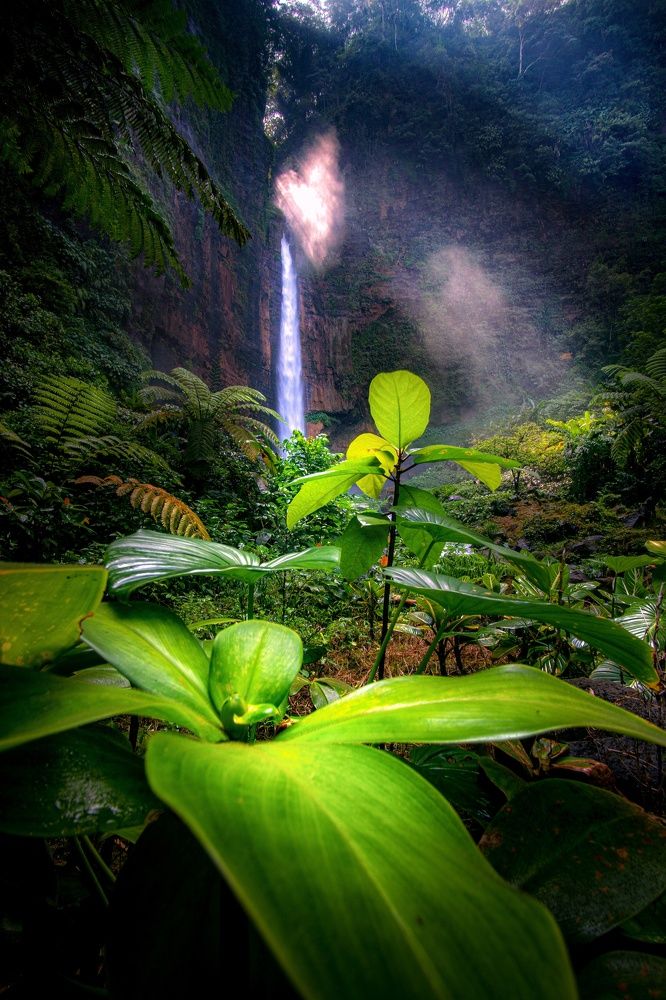 Photograph by M Sairoji Abdillah